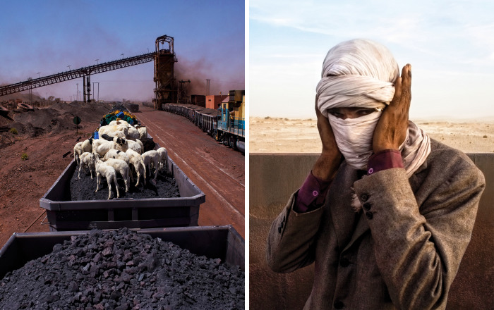 Freight Train Hopping In Mauritania: 4000 Kilometers In A Cargo Carriage With Local Shepherds And Their Sheep