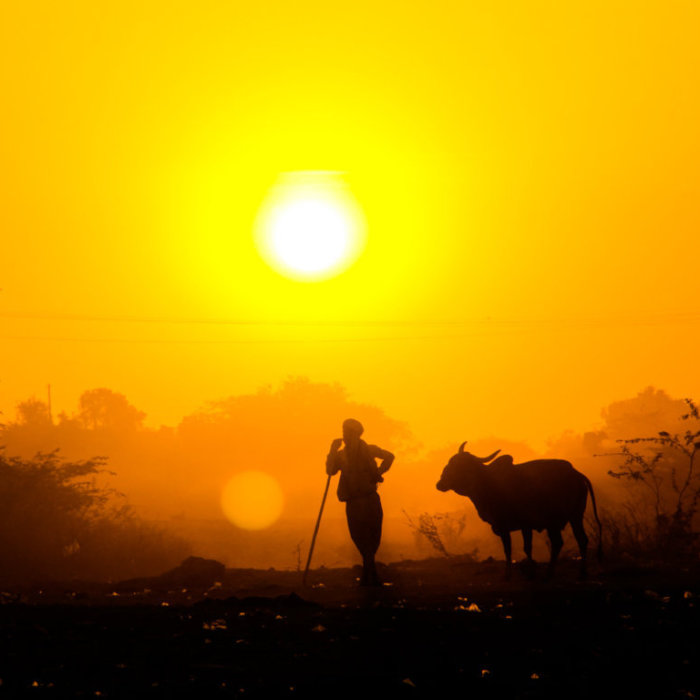 Home Is Where Heart Is