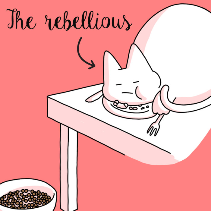 What Kind Of Eater Is Your Cat?