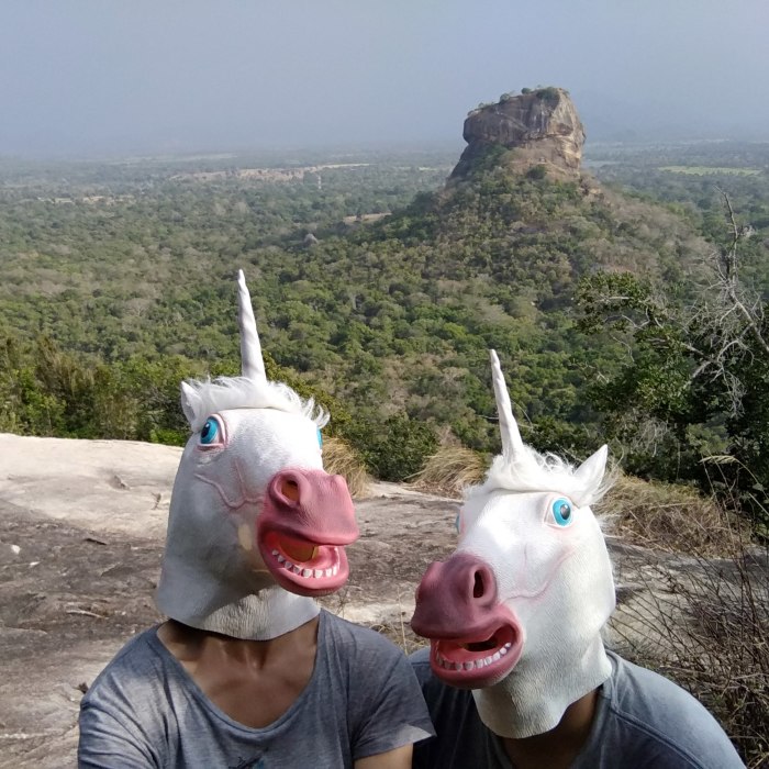 Unicorns Traveling In Asia