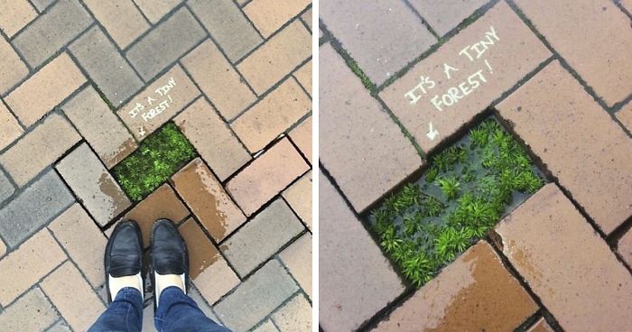 30 Random Acts Of Genius Vandalism
