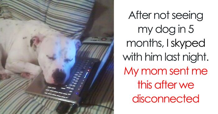 50 Of The Happiest Dog Memes Ever That Will Make You Smile From Ear To Ear