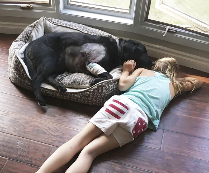 Woman Tells Her Sister NOT To Have A Puppy When She Has A Baby, But She Doesn't Listen Woman Tells Her Sister NOT To Have A Puppy When She Has A Baby, But She Doesn't Listen