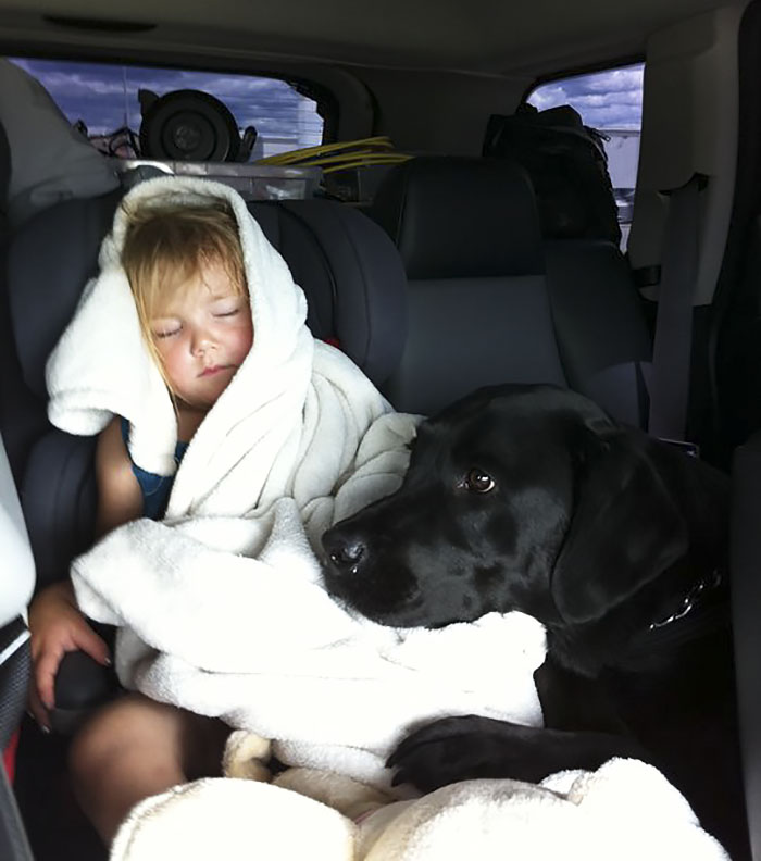 Woman Tells Her Sister NOT To Have A Puppy When She Has A Baby, But She Doesn't Listen Woman Tells Her Sister NOT To Have A Puppy When She Has A Baby, But She Doesn't Listen