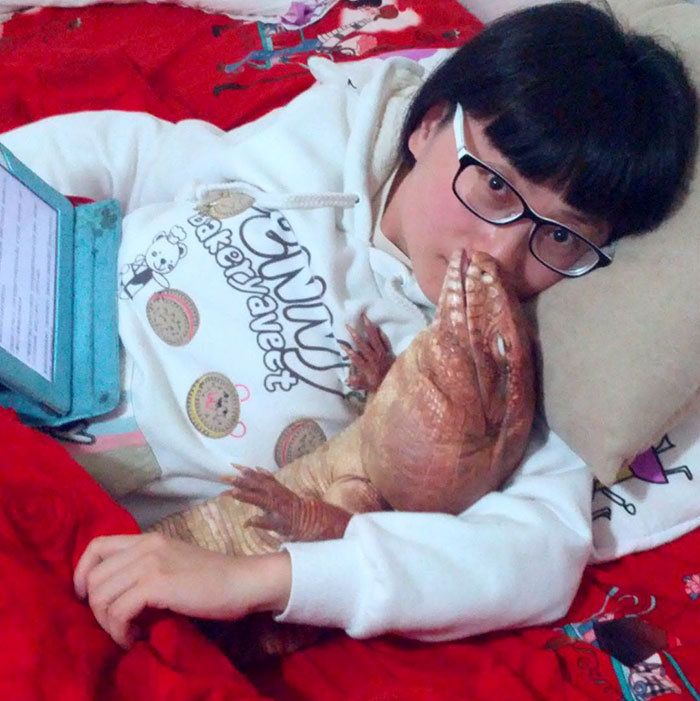 This Dog-Sized Lizard Is Instagram's Latest Four-Legged Sensation, And His Pics Will Make Your Day This Dog-Sized Lizard Is Instagram's Latest Four-Legged Sensation, And His Pics Will Make Your Day