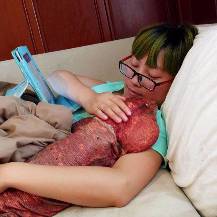 This Dog-Sized Lizard Is Instagram's Latest Four-Legged Sensation, And His Pics Will Make Your Day This Dog-Sized Lizard Is Instagram's Latest Four-Legged Sensation, And His Pics Will Make Your Day