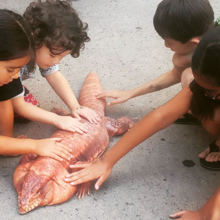 This Dog-Sized Lizard Is Instagram's Latest Four-Legged Sensation, And His Pics Will Make Your Day This Dog-Sized Lizard Is Instagram's Latest Four-Legged Sensation, And His Pics Will Make Your Day