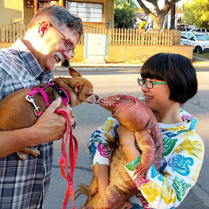 This Dog-Sized Lizard Is Instagram's Latest Four-Legged Sensation, And His Pics Will Make Your Day This Dog-Sized Lizard Is Instagram's Latest Four-Legged Sensation, And His Pics Will Make Your Day