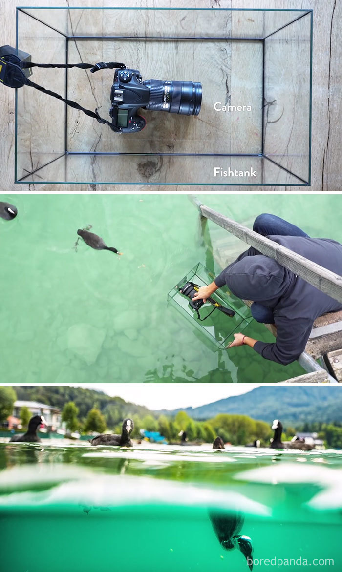 Use A Fishtank To Get That Underwater Shot 