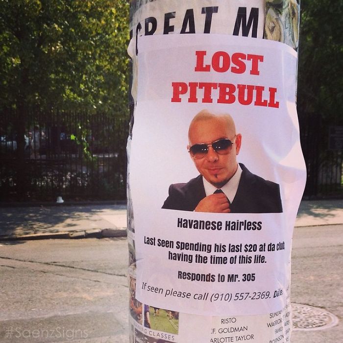 Prank Poster Project