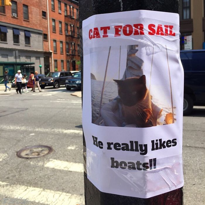 Prank Poster Project