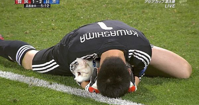 Cats Photoshopped Into Pictures Of Soccer Make Everything Better (Add Yours!)