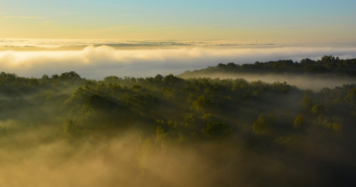 This Unique Platform Lets Everyone Get To Know A Country From Everyday Perspective