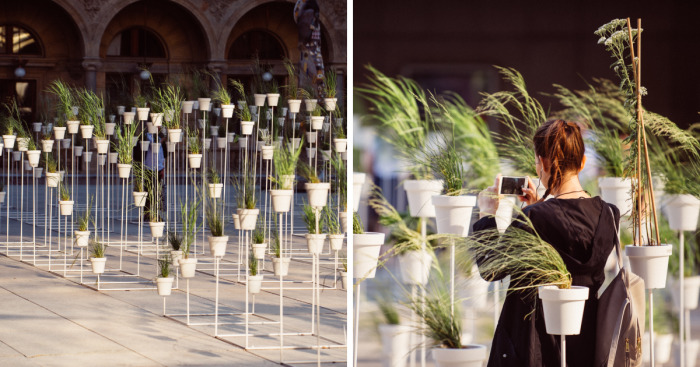 We Made This Installation Our Of 1000 Plants And 1,6 Tonnes Of Metal Construction