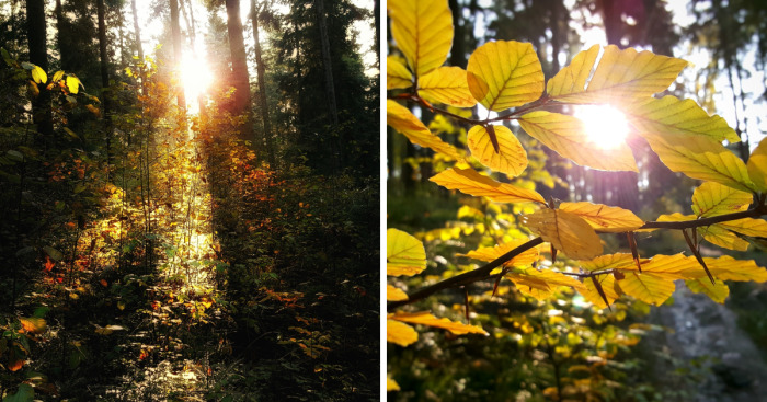 I Want To Show The Beauty Of Poland Using Smartphone (Part 2)