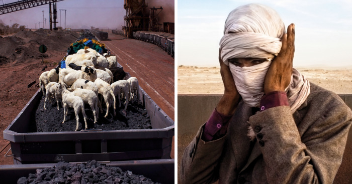 Freight Train Hopping In Mauritania: 4000 Kilometers In A Cargo Carriage With Local Shepherds And Their Sheep