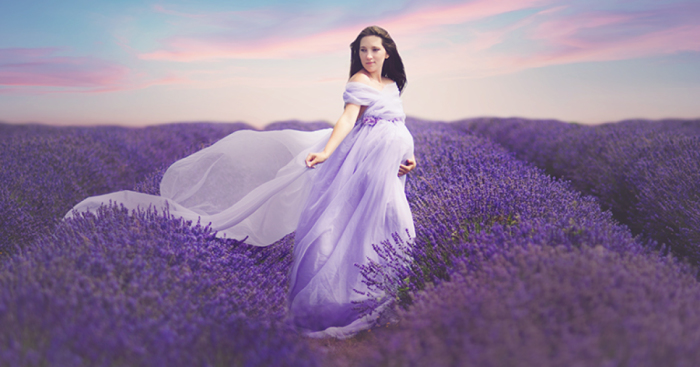 Photo Shoot In Lavender Field