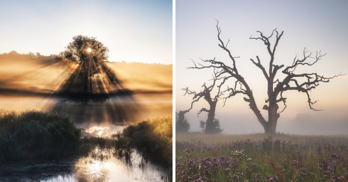 My Misty Fairy Land In Poland
