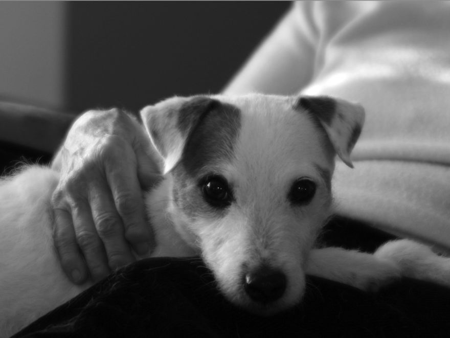 Foster (1999 - 2016) Abbotsford, Bc Canada