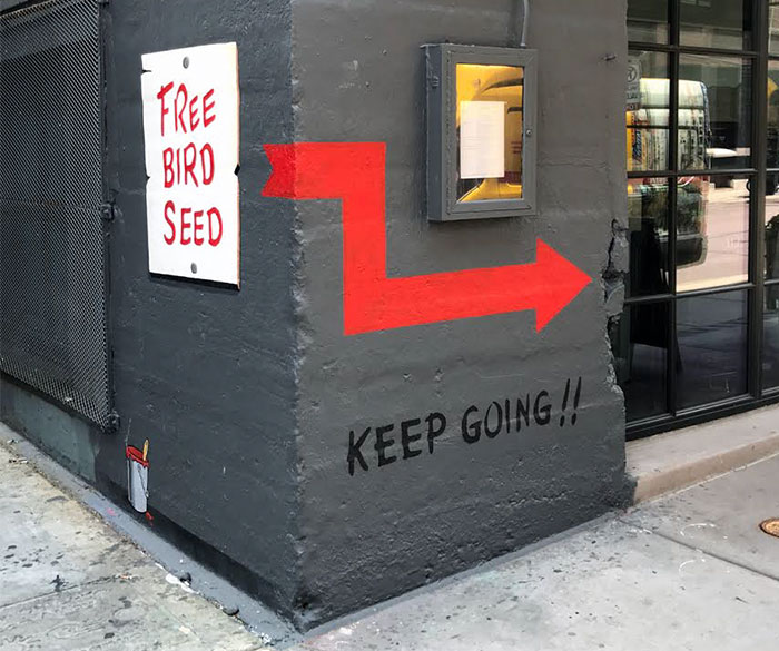 This ‘Free Bird Seed’ Graffiti Leads To Unexpected Surprise In Chicago