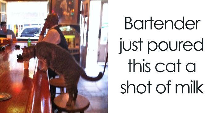 50 Genius Bars And Restaurants That Will Surprise You With Their Creativity