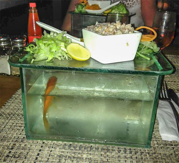 "Tonight's Special Is The Fish." "What Sort Of Fish?" "A Gold One. And We'll Need It Back."