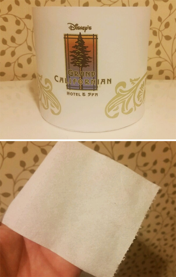 Disney's Grand Californian Hotel Checking In. $1,100 A Night. Also 1 Ply