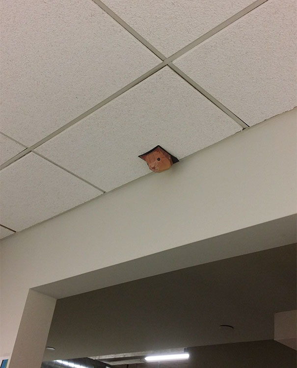 Well... Someone In The Office Clearly Has Too Much Free Time