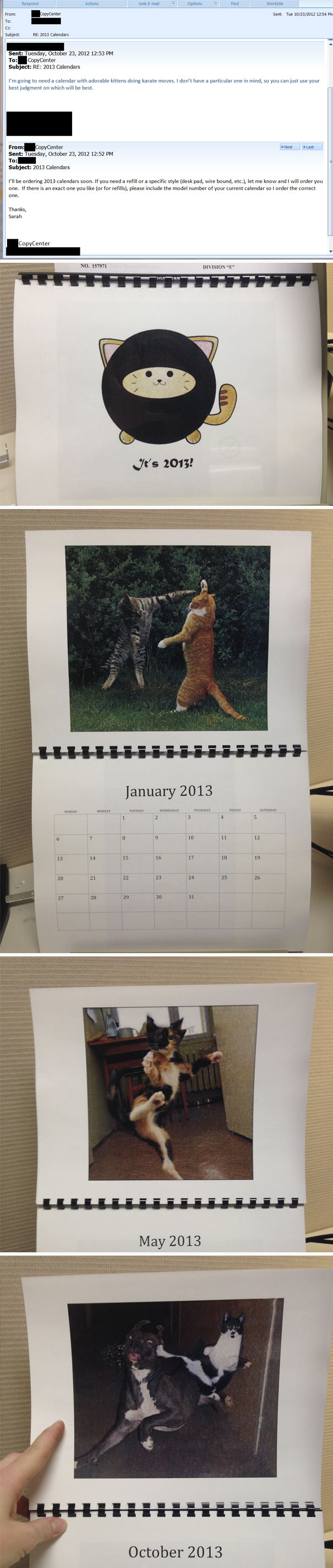 So Yesterday The Copy Manager Where I Work Emailed Everyone Asking About Calendar Orders For 2013. I Emailed Her Back Saying I Needed One Of Cats Doing Karate. Found This In My Chair This Morning