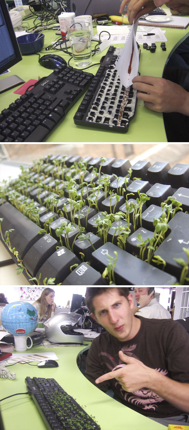 Grass Keyboard Prank