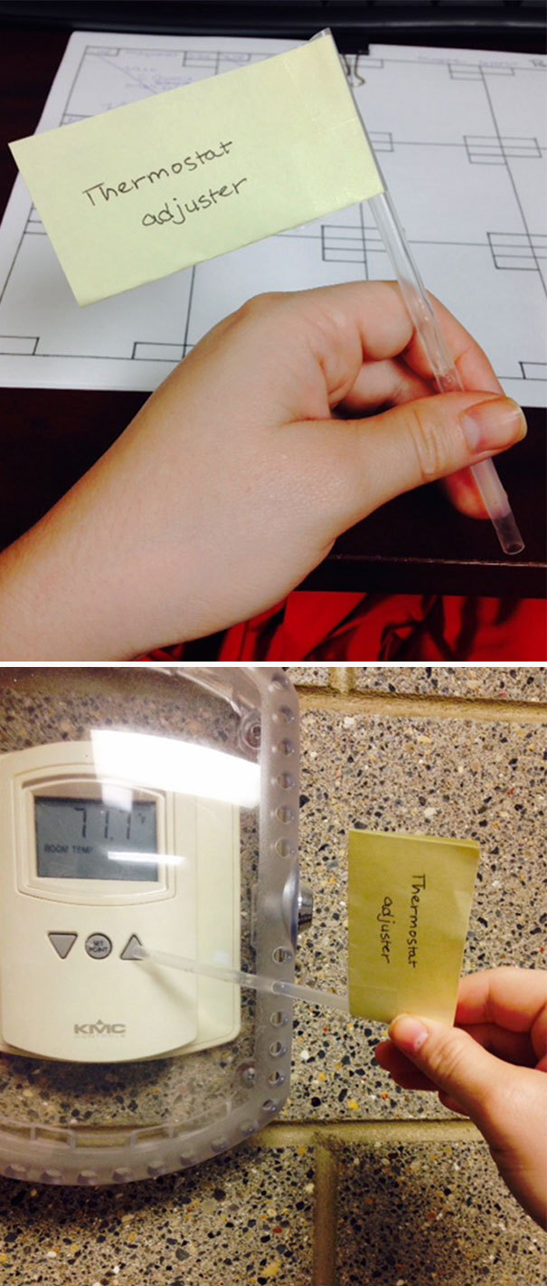 Wondered Why Coworker Was Holding A Stick. It's Official