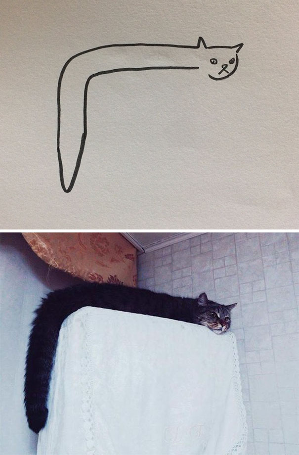 Poorly Drawn Cat