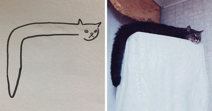 When Your Teacher Keeps Saying You Can’t Draw Cats, But Your Paintings Are Photorealistic