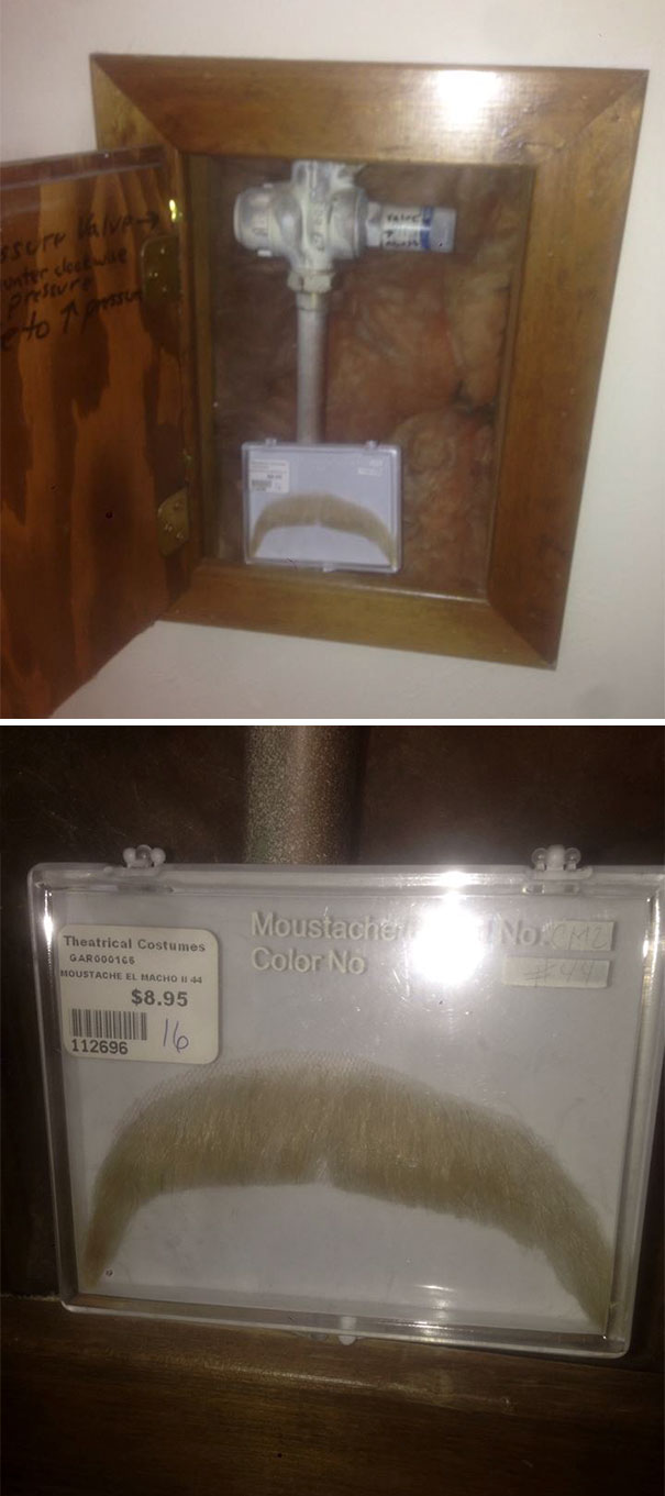 My Roommate Moved Out Five Months Ago; Only Today Did We Discover His "Surprise." After Sending Him A Confused Text, He Replied By Saying "You Found It! My Secret 'Stache'! "