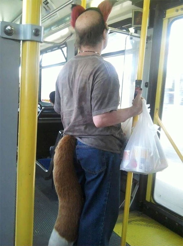 The Fabled Balding Furry, Spotted In Public