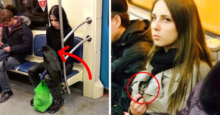 176 Of The Weirdest People Ever Spotted Riding On The Subway
