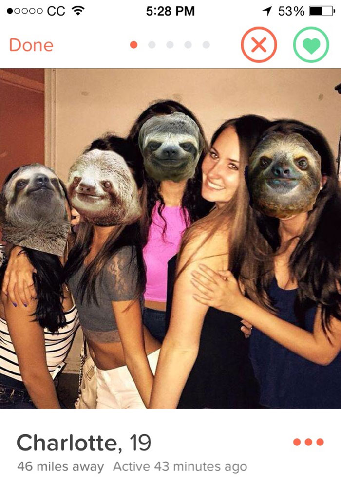 Funny Tinder profile featuring a group photo with sloth faces edited on people at a party.