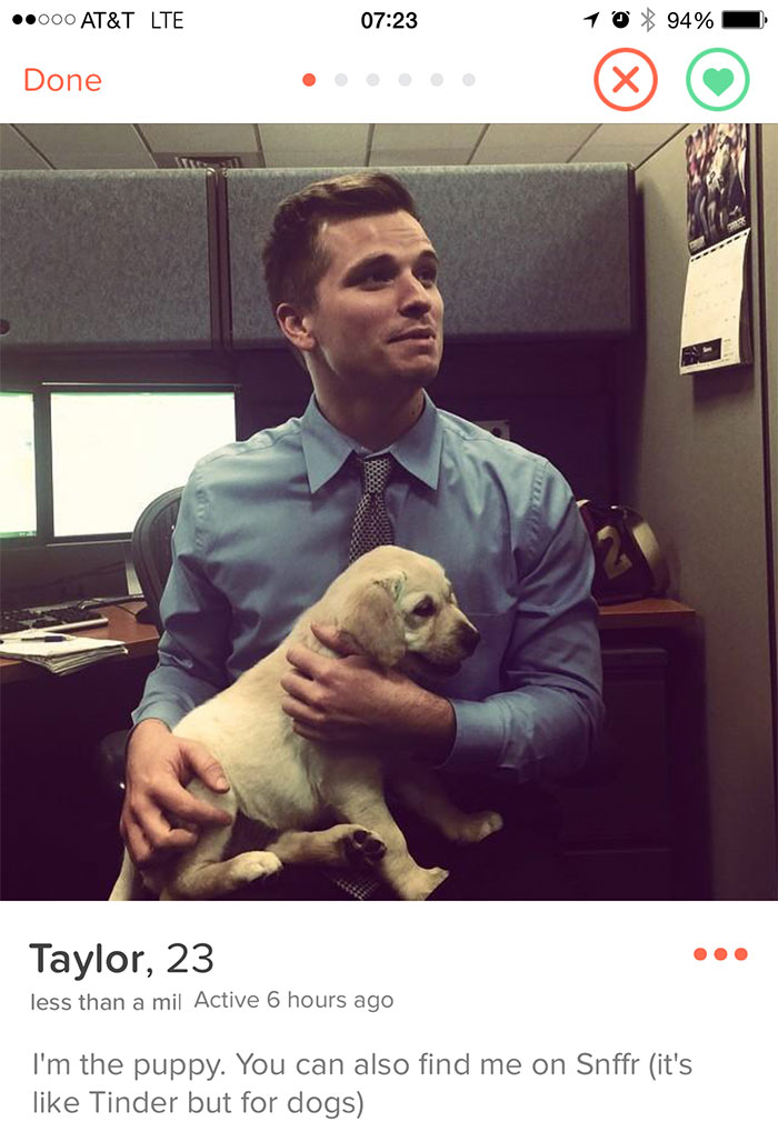 Man in a blue shirt holding a puppy, showcasing a funny Tinder profile in an office setting.
