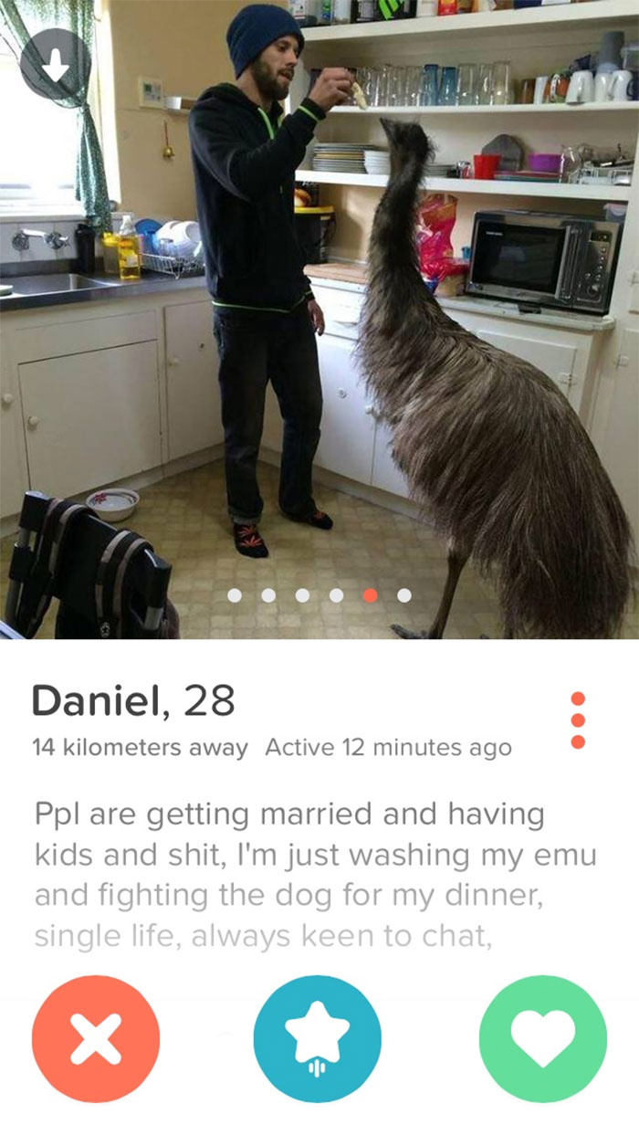 Man washing an emu in a kitchen, showcasing one of the funniest Tinder profiles with humorous bio about single life.