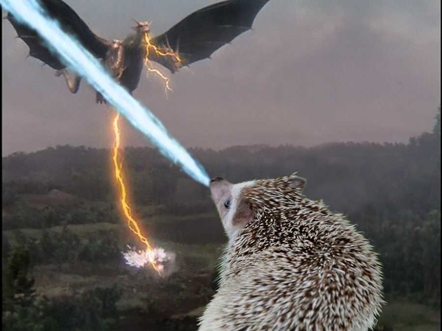 My Pet Hedgehog Has A Secret Life: Hedgezilla!