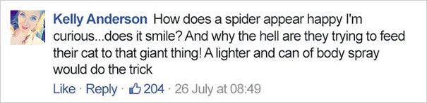 giant-spider-huntsman-aragog-lauren-ansell-queensland-8 giant-spider-huntsman-aragog-lauren-ansell-queensland-8