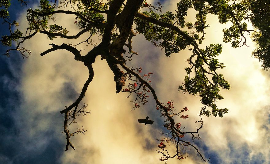 When You Have A 140$ Phone But Passion To Turn It Into A 1000$ Camera