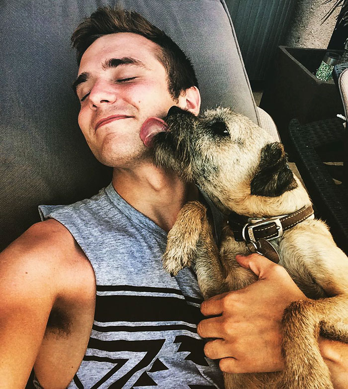 guy-sums-up-peta-twitter-calum-mcswiggan-4 guy-sums-up-peta-twitter-calum-mcswiggan-4