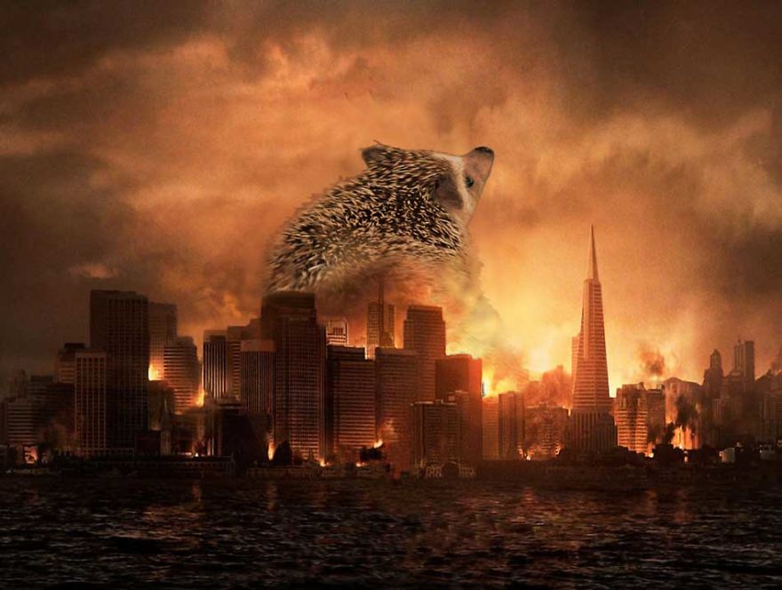 My Pet Hedgehog Has A Secret Life: Hedgezilla!