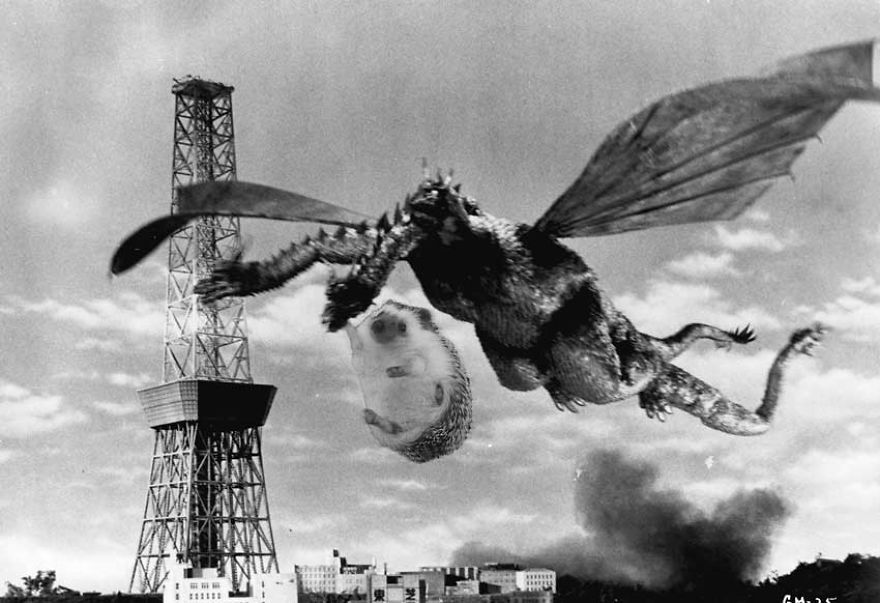 My Pet Hedgehog Has A Secret Life: Hedgezilla!