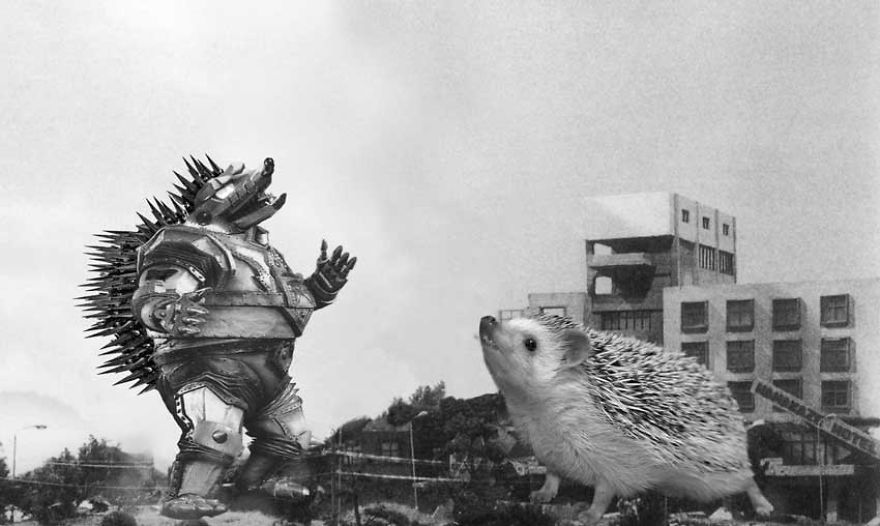 My Pet Hedgehog Has A Secret Life: Hedgezilla!