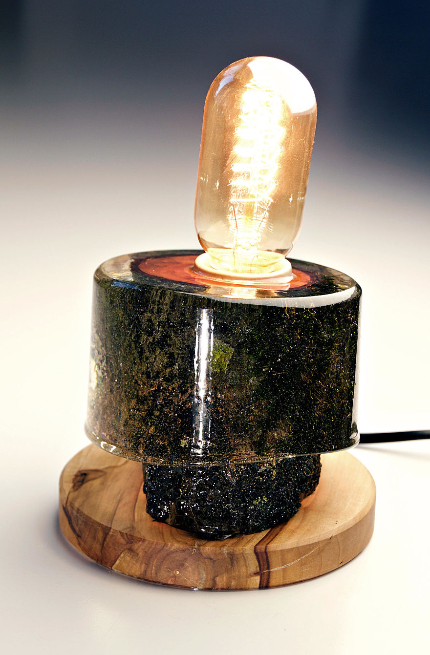 We Found A Way To Bring A Portion Of Nature To Your Home