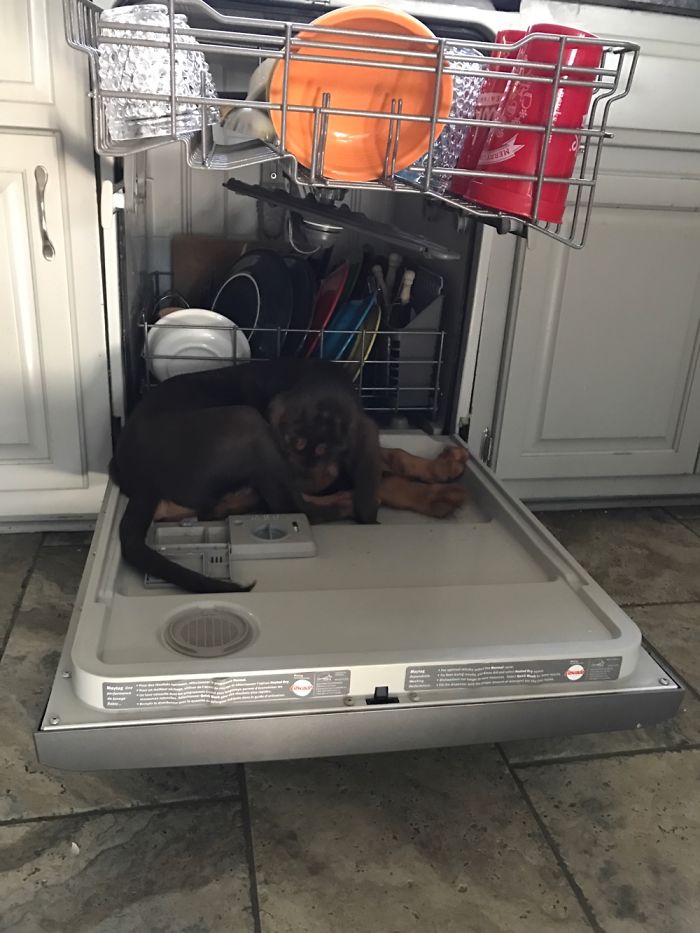 Jake At Three Months.