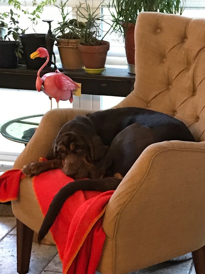 Jake At Almost Seven Months.