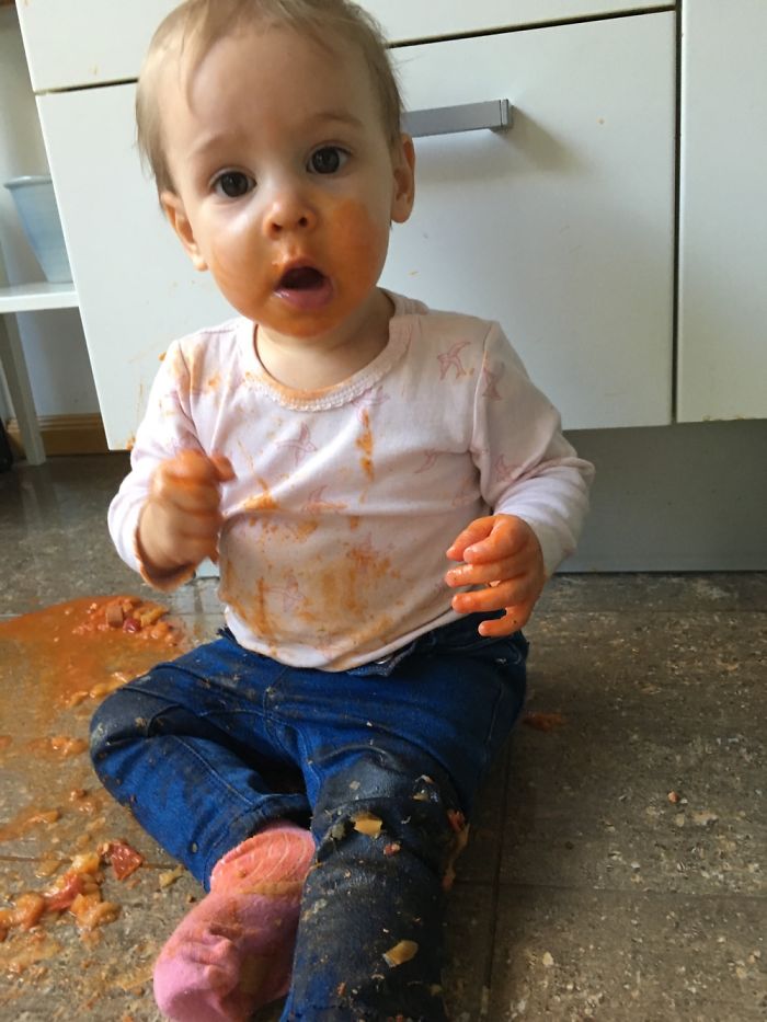 She Didn't Want To Eat The Food I Gave Her. So I Gave It To The Dog. I Came Back To This